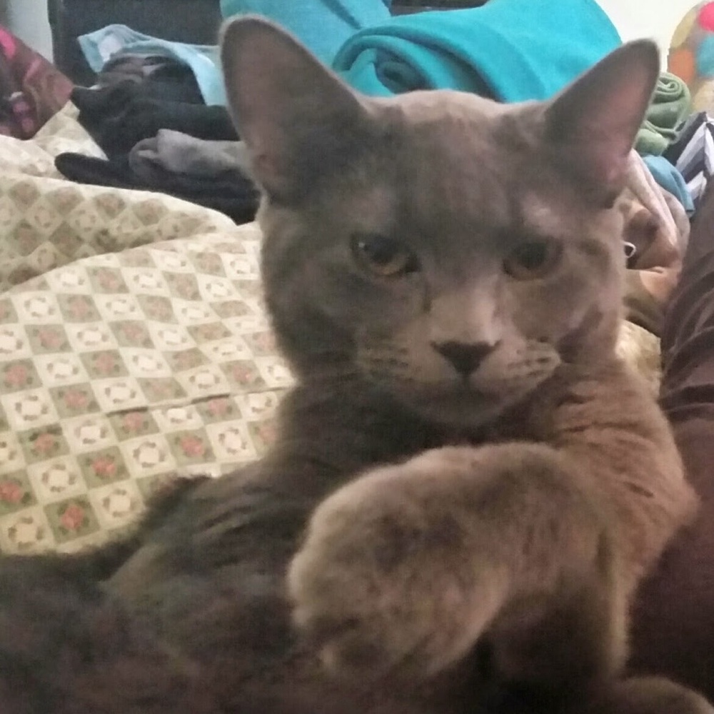 Meet your Posher, Laura